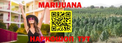 дживик Можга