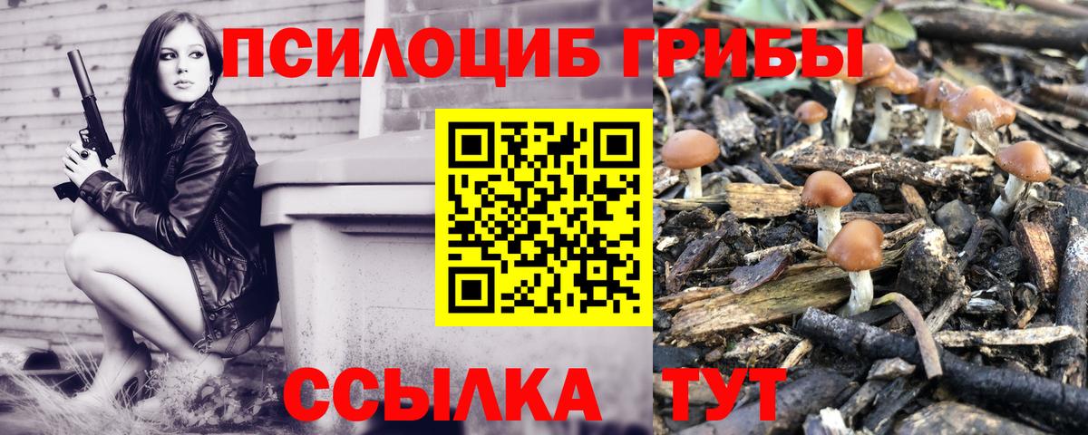Псилоцибиновые грибы прущие грибы Белово
